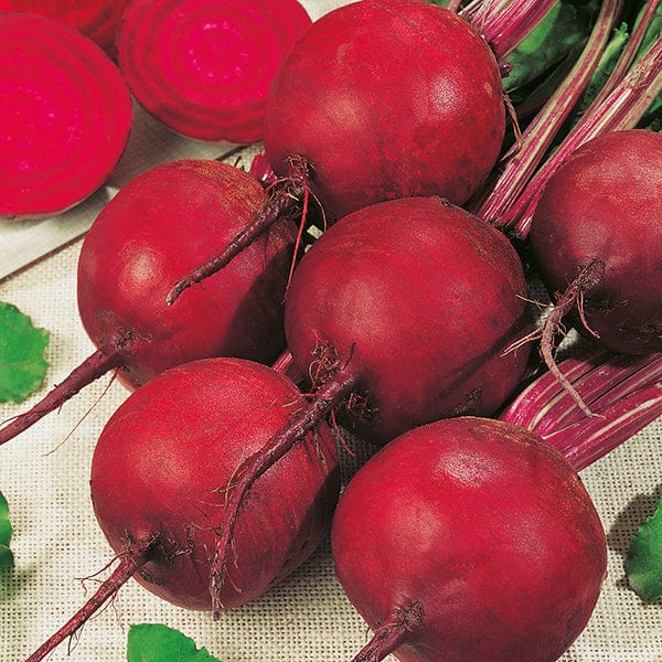 Beetroot Boltardy AGM Seeds 10g