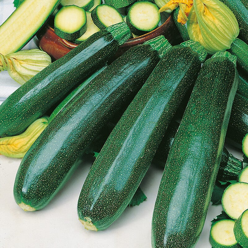 Courgette Zucchini Seeds