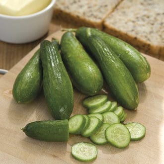 Cucumber Mini Munch F1 Seeds