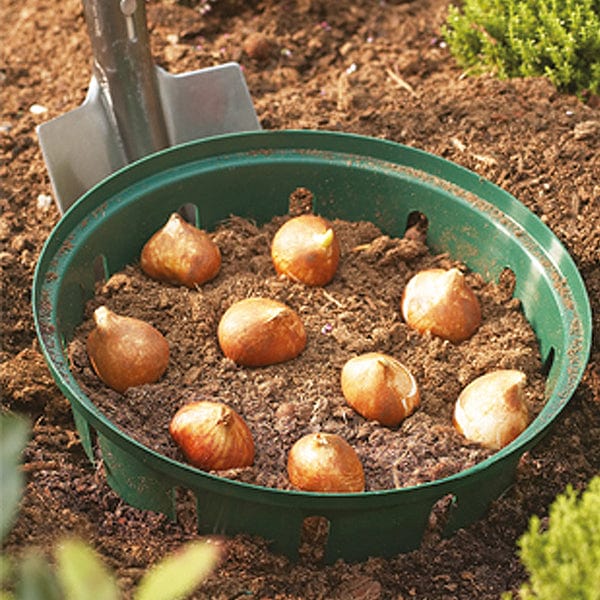 Bulb Planting Baskets (3 x 26cm round)